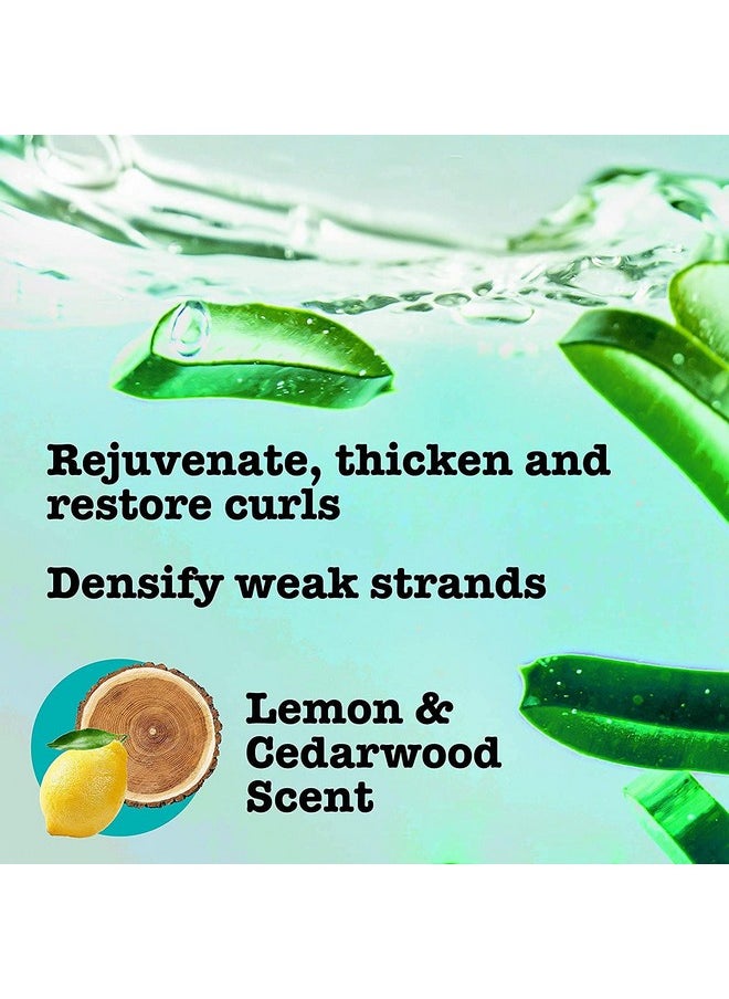 Maui Moisture Thicken & Restore + Bamboo Fibers Strengthening Shampoo to Soften Transitioning or Natural Hair & Renew Brittle Hair, Vegan, Silicone, Paraben-Free 385 ml