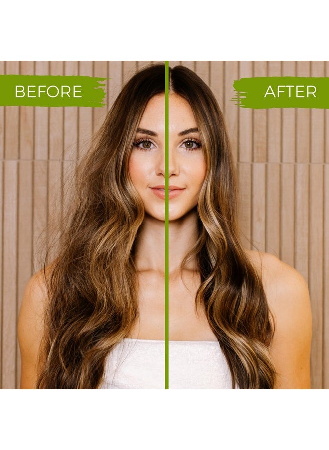 Viori Hidden Waterfall Shampoo Bar Made with Rice Water - Handcrafted All Natural Shampoo Bars - Sulfate Free Shampoo