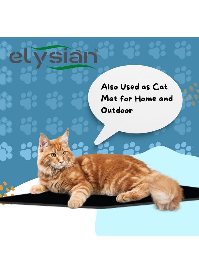Dog Mat For Home And Outdoor 100% Waterproof And Reusable| Rubber Sheet For Dogs And Cat Easy To Carry Material Size -(10Mm)100X100Cm