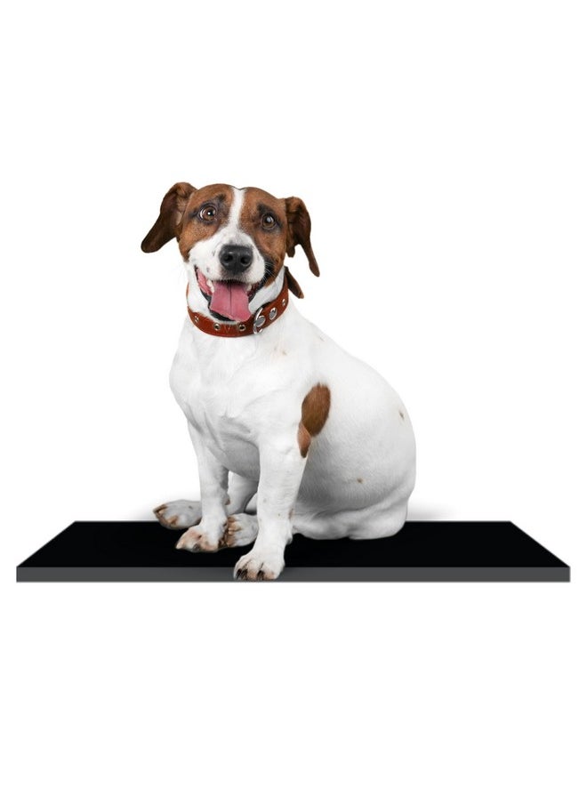 Dog Mat For Home And Outdoor 100% Waterproof And Reusable| Rubber Sheet For Dogs And Cat Easy To Carry Material Size -(10Mm)100X100Cm