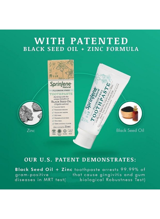 SprinJene Natural Fluoride Free Toothpaste for Healthy Teeth & Gums | Natural Toothpaste for Cavity Protection | 2 Pack