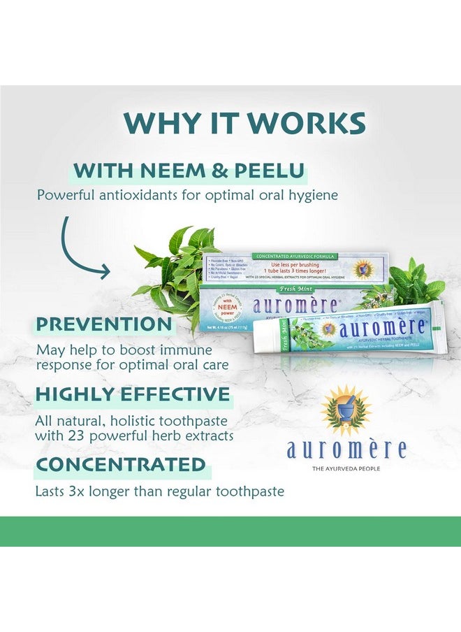 Auromere Ayurvedic Herbal Toothpaste, Fresh Mint - Vegan, Natural, Non GMO, Fluoride Free, Gluten Free, with Neem & Peelu (4.16 oz), 1 Pack