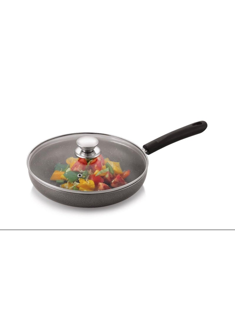 Champion Fry Pan with Glass Lid, Non-Stick Granite Coating,(24 cm)