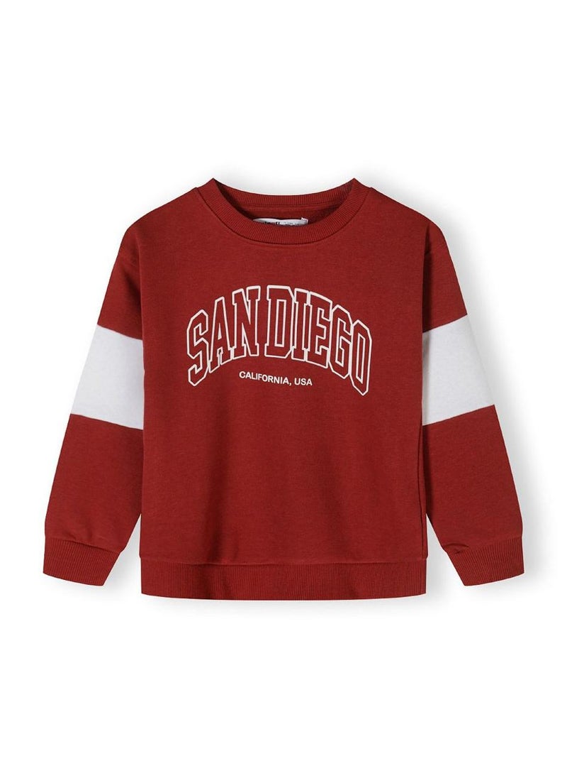 Kids Boys  Crew Neck Sweatshirt And Joggers Set