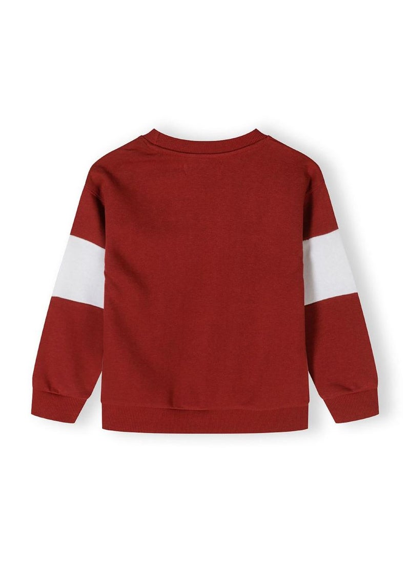 Kids Boys  Crew Neck Sweatshirt And Joggers Set