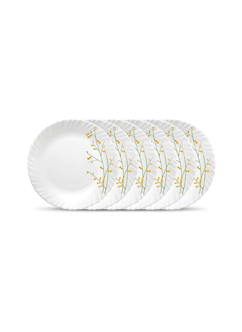 La Opala Diva Classique Collection Opal Glass Crockery | Full Plate Set of 6 | Citron Weave Design | for Dining & Gifting | Microwave Safe | 100% Vegetarian | Extra Strong | Super Light & White