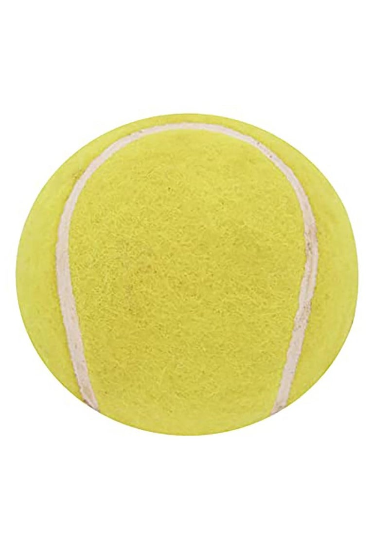 Omtex Swing Ball (Half Tennis) Cricket Training Ball Size 5.5. Diameter 2.5 cms