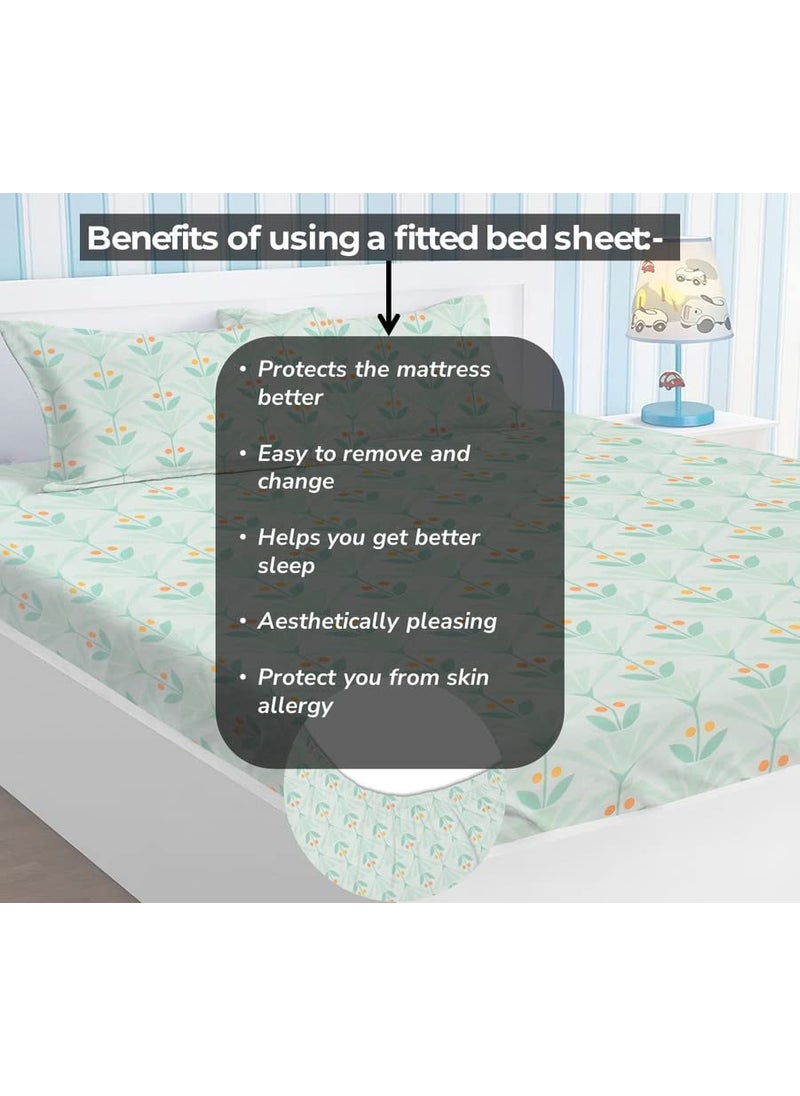 BSB HOME Style Cotton Feel Glace Cotton Elastic Fitted Printed King Size Double Bed Bedsheet with 2 Pillow Cover (78