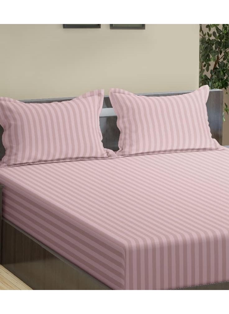 Trance Home Linen 100% Cotton 78x72 inch King Fitted 200TC Satin Stripe Elastic Fitted Bedsheet | Bedroom Hotels Daily Use Fitted Bedspread with 2 Pillow Covers (78