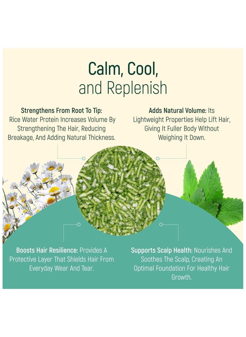 BAMBOEARTH Solid Shampoo Bar 100% Organic, Mint And Chamomile 68g