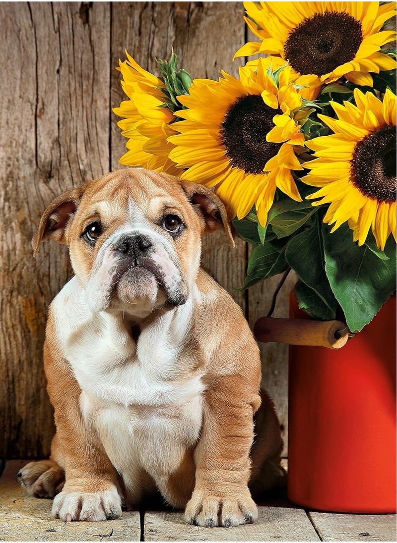 Collection – The Bulldog Puzzle – 1000 Pieces, Multicolor, Premium Quality