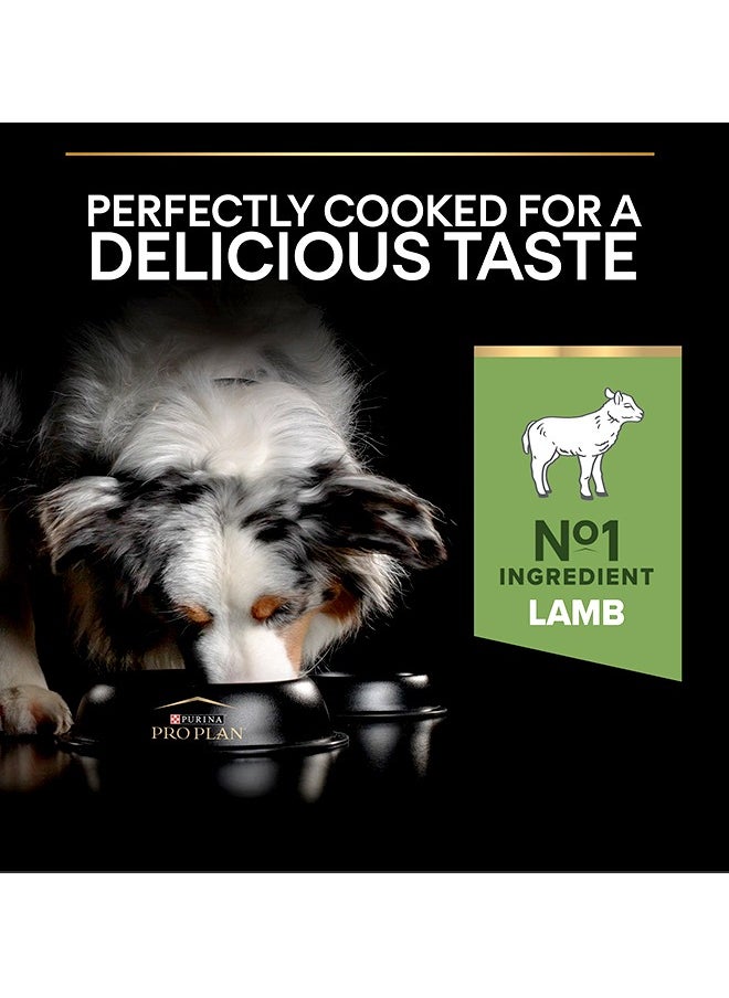 Pro Plan Medium Adult Sensitive Digestion Dog Lamb – 14 Kg