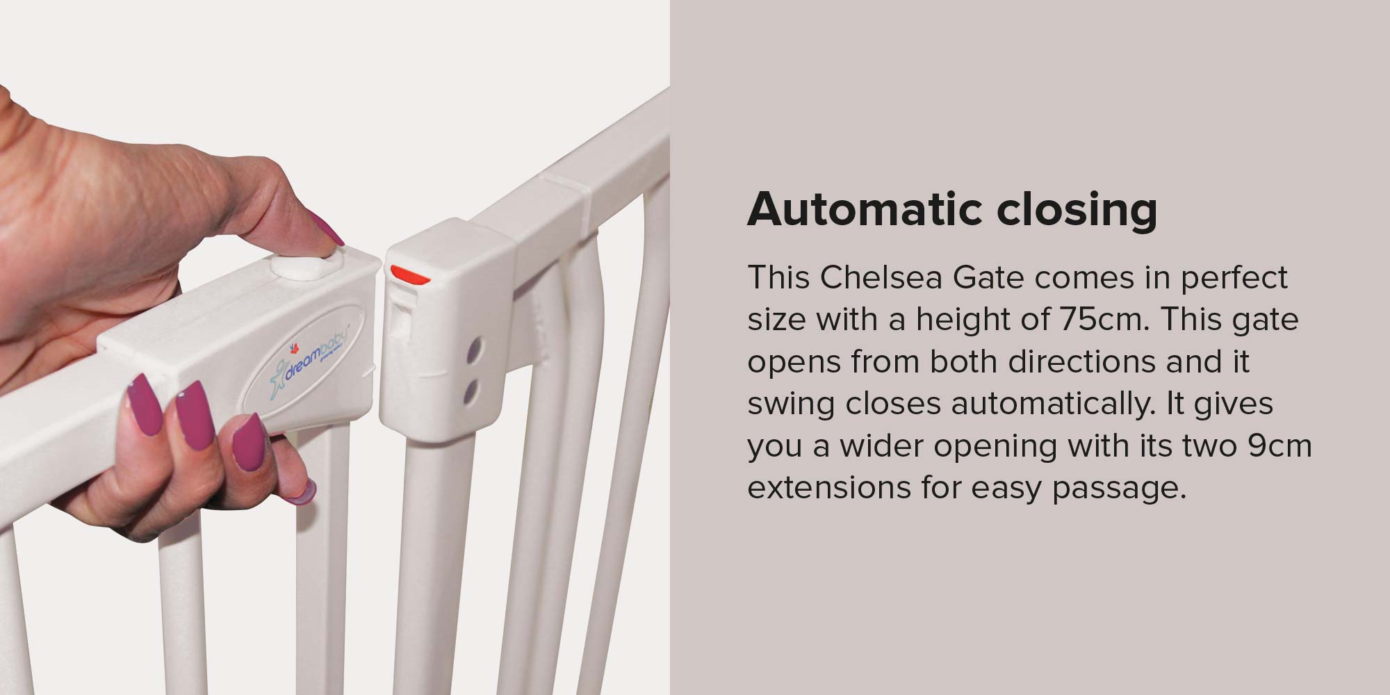 Gate And Extension Set - 75 x 2.5 cm