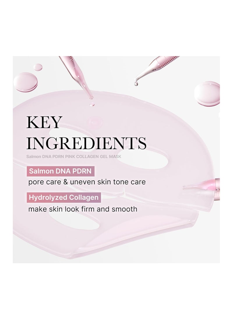 Medicube Salmon DNA PDRN Pink Collagen Jelly Gel Mask | Overnight Face Mask for Glass Glow Skin | Anti-Aging & Elasticity Boost | Hydrating, Firming & Moisturizing | K-Beauty Skincare |  4 Packs Only