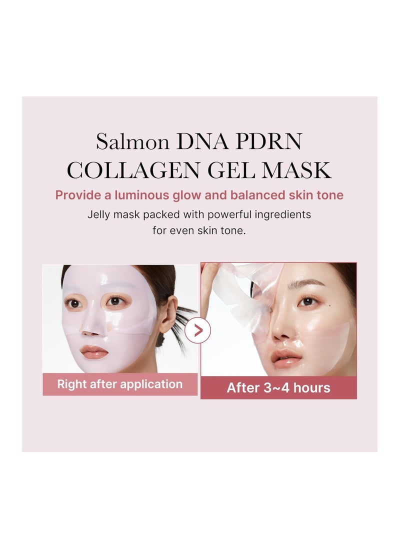 Medicube Salmon DNA PDRN Pink Collagen Jelly Gel Mask | Overnight Face Mask for Glass Glow Skin | Anti-Aging & Elasticity Boost | Hydrating, Firming & Moisturizing | K-Beauty Skincare |  4 Packs Only