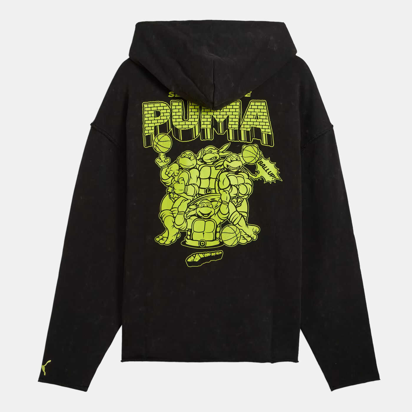 Men's Teenage Mutant Ninja Turtles Hoodie