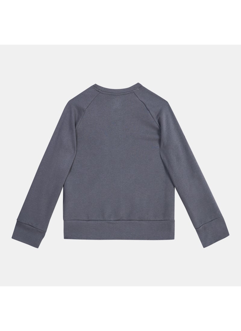 Kids' UA Rival Fleece Sweatshirt