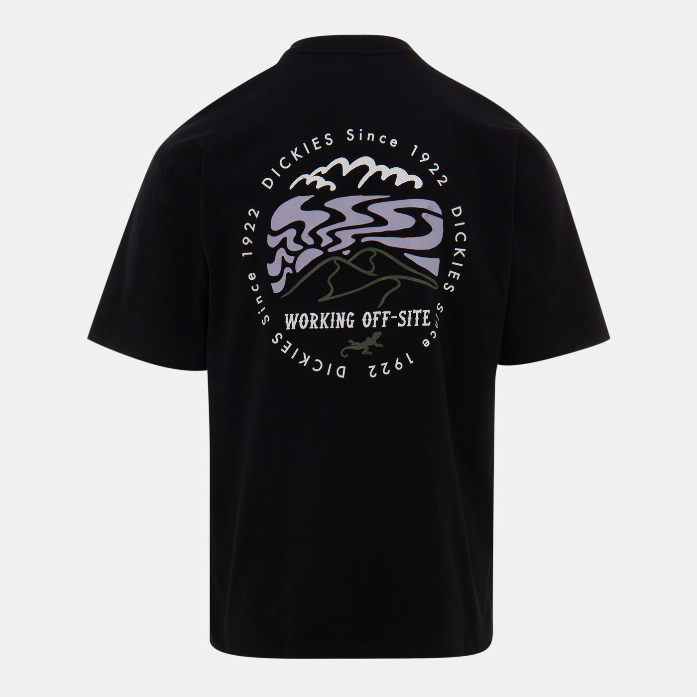 Men's Stanardsville T-Shirt
