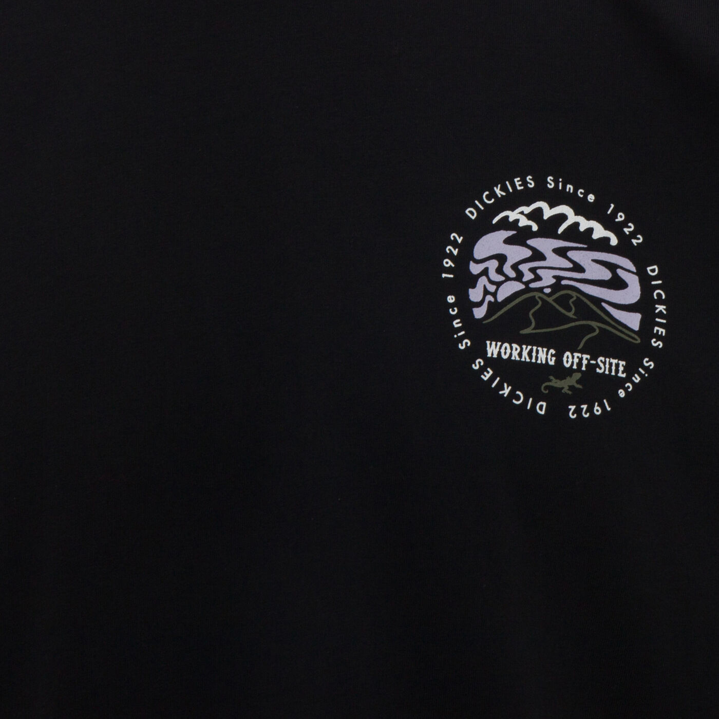 Men's Stanardsville T-Shirt