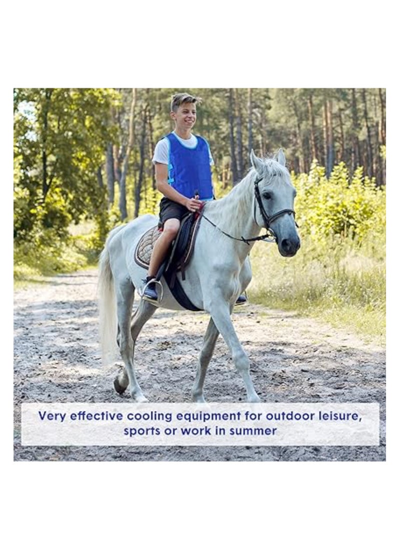 2 PCS Cooling Vest with 48 Pcs Ice Pack, Evaporative Cooling Vest for Men Women, Adjustable Ice Vest, for Men Women Hot Weather Working Running, Water Activated PVA Body Cooler Clothing (L)