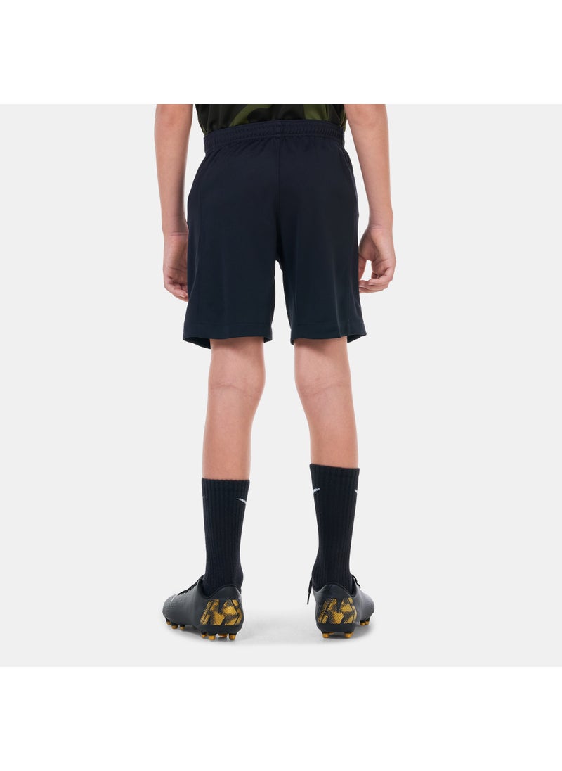 Kids' Paris Saint-Germain Stadium 3rd Shorts - 2023/24