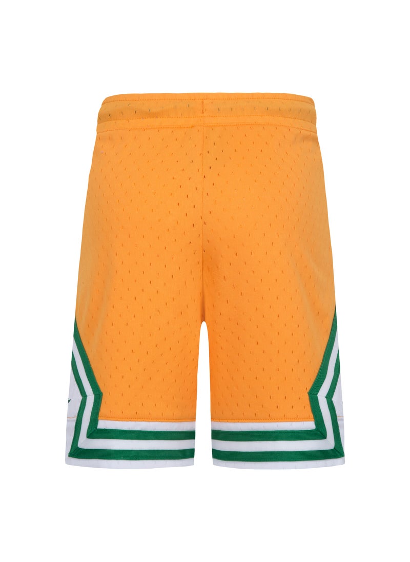 Kids' Dri-FIT Air Mesh Shorts