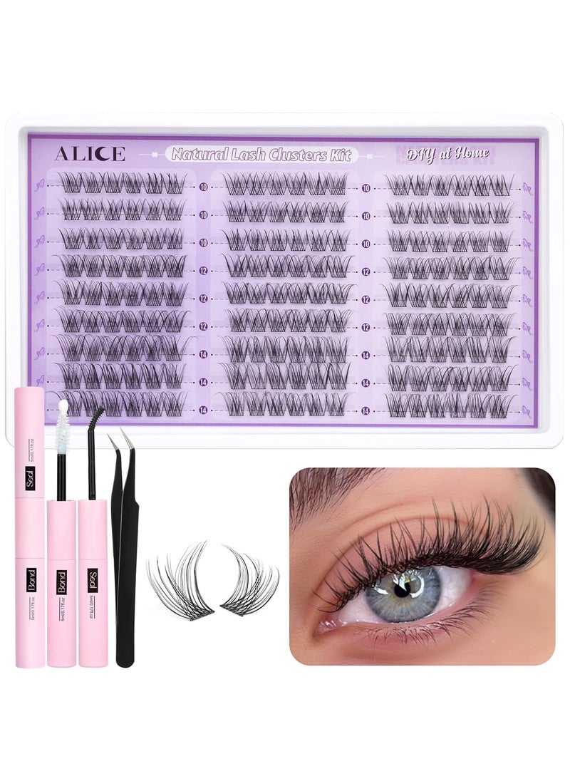 ALICE Wispy Lash Clusters Kit, Natural Lash Extension Kit Cluster Eyelash Extension Kit, 162pcs C Curl 10-14mm Eyelash Clusters with Lash Glue Bond and Seal Tweezers