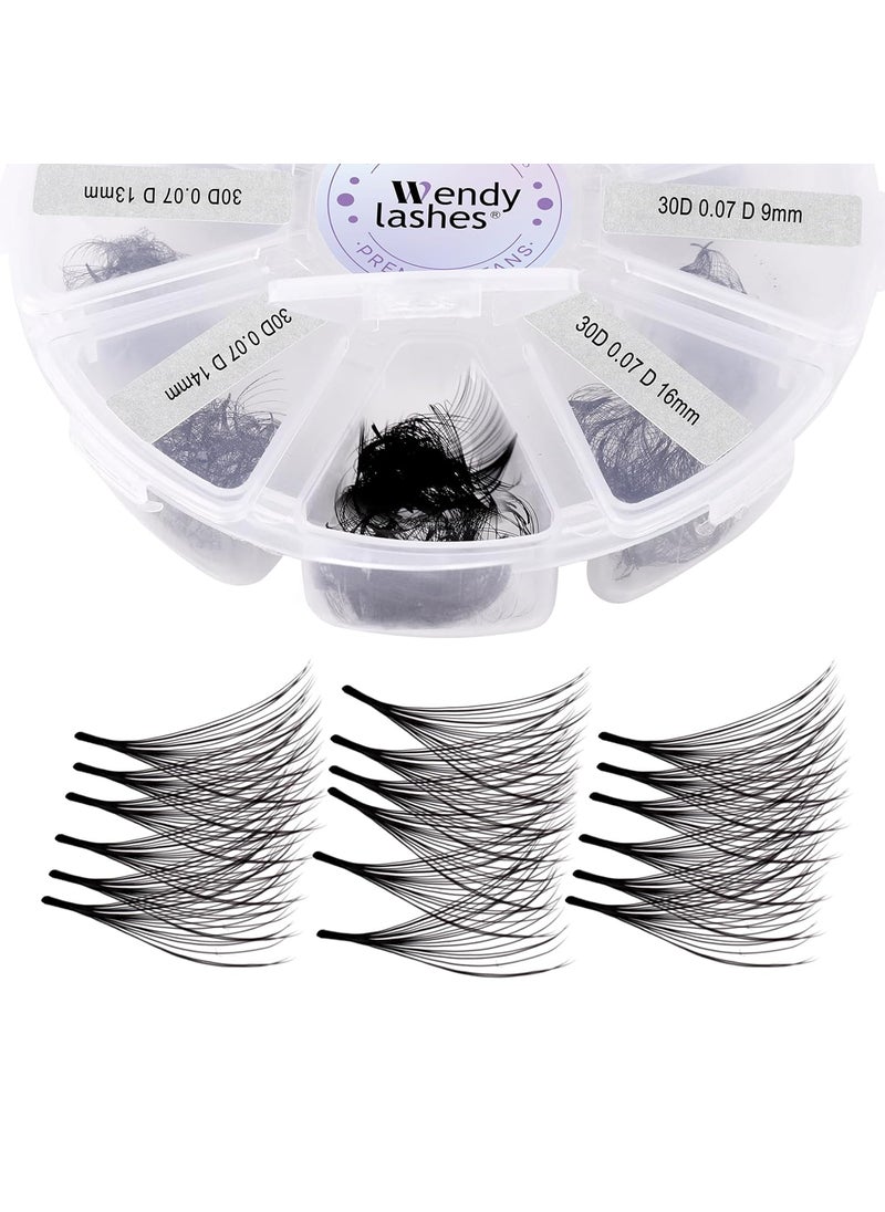 Premade Fans Eyelash Extensions Mixed Tray 500 Fans, Handmade Volume Premade Lashes 10D-30D, D Curl Pointed Thin Base Professional Grade for Fuller Dramatic Eyelashes(30D-0.07-D-9-16 Mix)