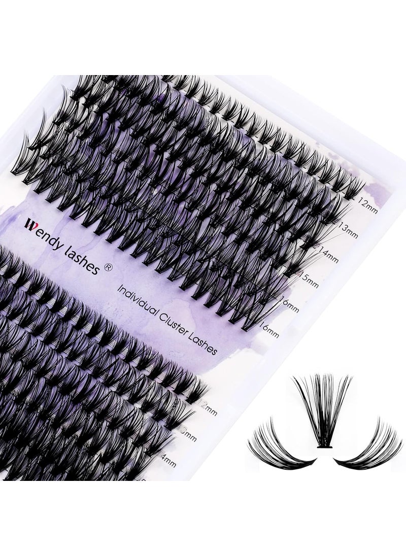 DIY Lash Clusters for Using at Home: 240 PCS, Wendy, Ultra-light, Natural, Fluffy, Wispy, Waterproof, Anime, Manga, Cat Eye, D Curl, 12-16mm Mixed, 30D+40D, RR220527