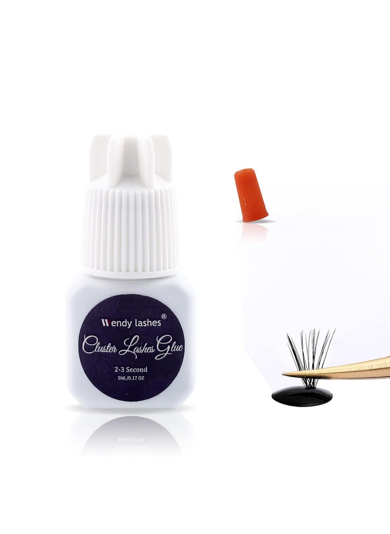 Lash Cluster Glue for Eyelash Extension: Lash-Lovers Supplies for DIY, Waterproof, 2-3 Sec Dry, Strong Hold, Black, 5ml, Wendy Lashes, RR0129-1