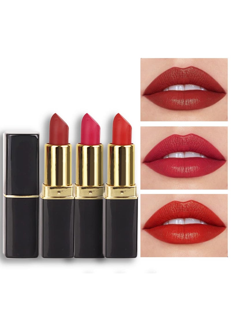 evpct 3Pcs Dark Light Bright Red Silky Velvet Matte Lipstick Pack Sets for Women,Ruby Red Long Lasting Smudge Proof Lip Stain Makeup Sets Kit 24 hours original