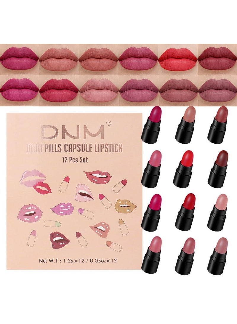 AMY'S DIARY Mini Lipstick 12Pcs Set for Women Nude Pink Ruby Red Mauve Taupe Brown Matte Small Magic Lipstick set Waterproof, Long Lasting 24 hours a prueba de agua mate originales