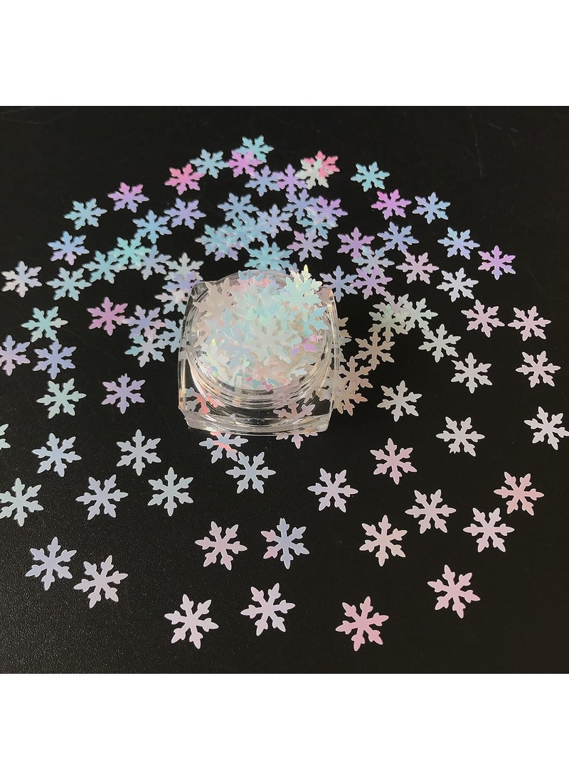 10 Grams/Pack - Snowflake Glitter - Festival Rave Beauty Makeup Face Body Nail Art Decoration