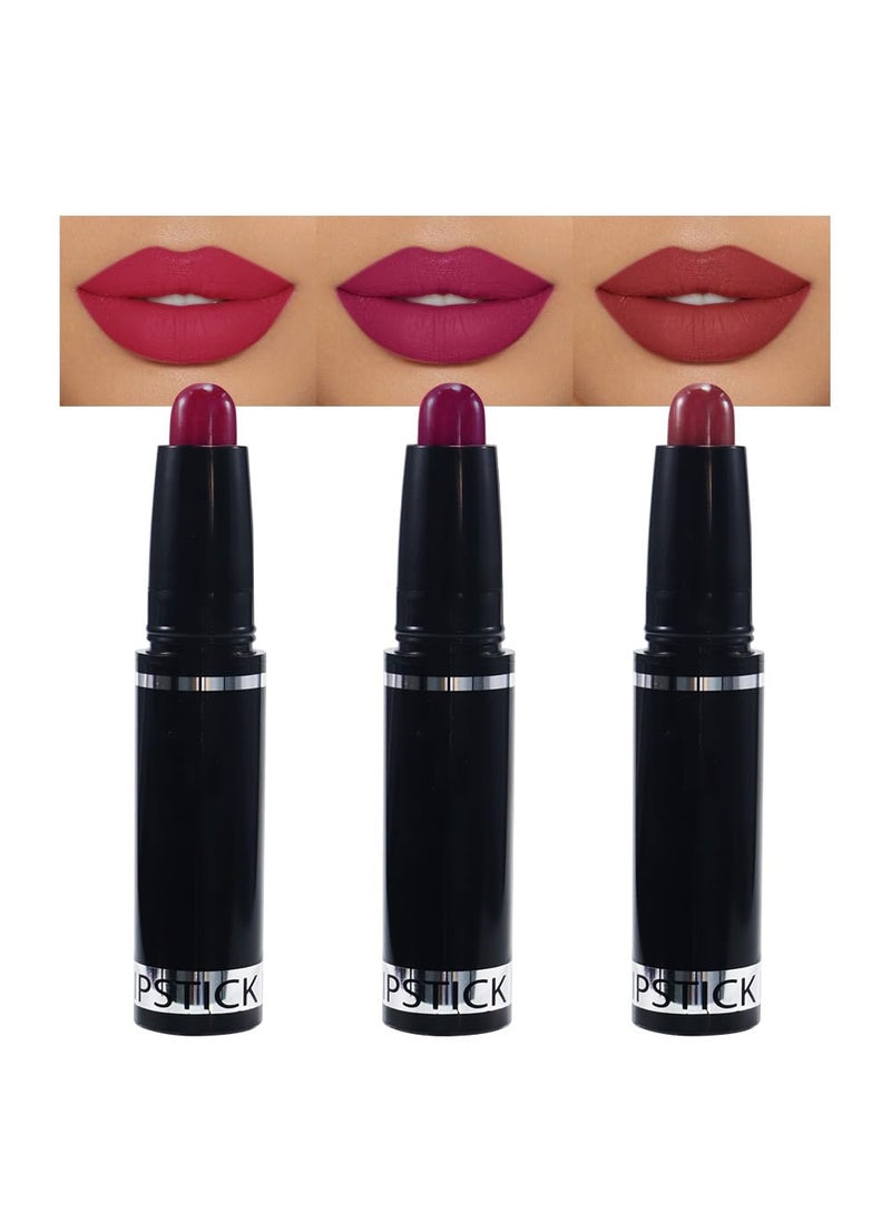 3 Pcs Matte Lipstick Crayon Pencil Set,Brown Purple Dark Red Light to Dark Velvet Lip Stick for Women's 24 Hour Long Lasting Waterproof Lip Liner,labiales mate 24 horas originales