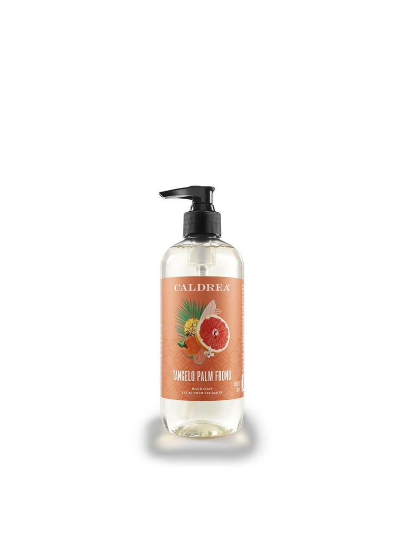 Caldrea Hand Wash Soap, Aloe Vera Gel, Olive Oil and Essential Oils to Cleanse and Condition, Scent, Tangelo Palm Frond 10.8 Fl Oz