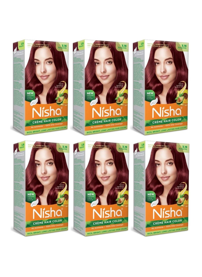 Nisha Creme Permanent Hair Color 100 percent Gray Coverage Hair Dye Pack of 6 Burgundy Vegan and Cruelty-Free Permanent Hair Color
