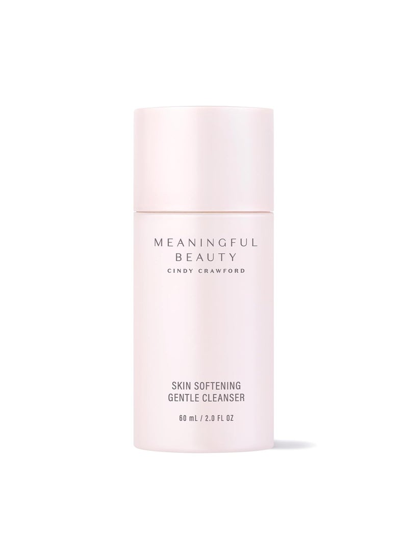 Meaningful Beauty Skin Softening Gentle Cleanser