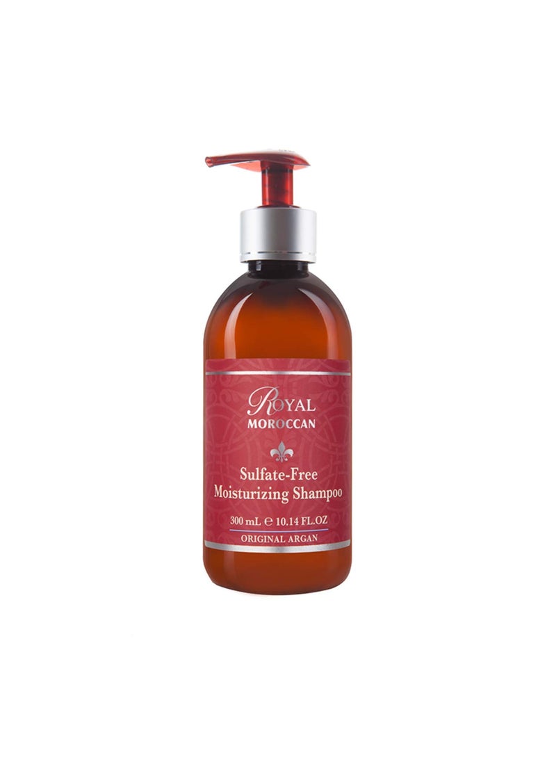 Sulfate Free Shampoo | Argan Oil Shampoo | Shampoo for Color Treated Hair | Moisturizing Shampoo Argan Oil Hair Products (300 ml 10.14 oz)