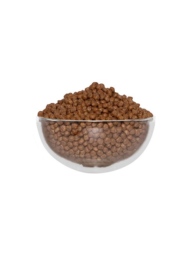 No Grain Kitten Recipe Dry Food - 10 KG