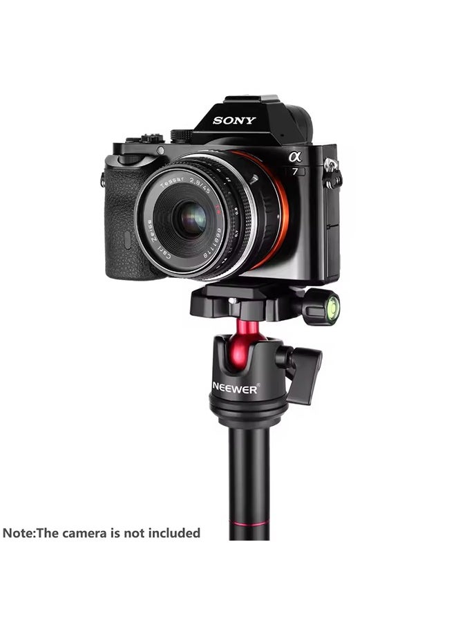 NEEWER Camera Tripod Head Ball Head 360° Rotating Panoramic with 1/4