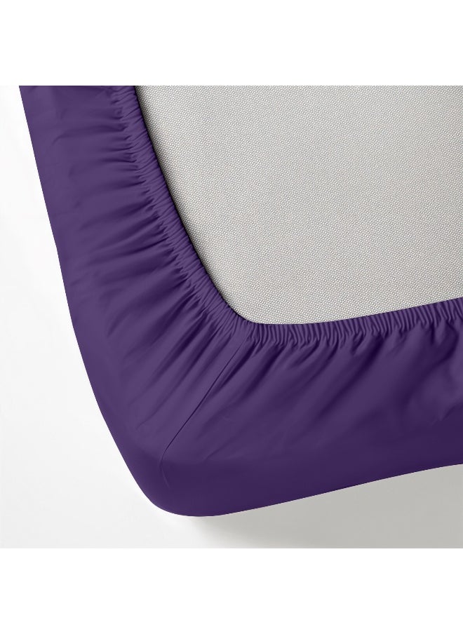 3-Piece Violet Plush 200X200+30Cm Fitted Bedsheet Set Includes 1 Deep Pocket Fitted Bedsheet And 2 Pillow Covers, Breathable And Machine Washable