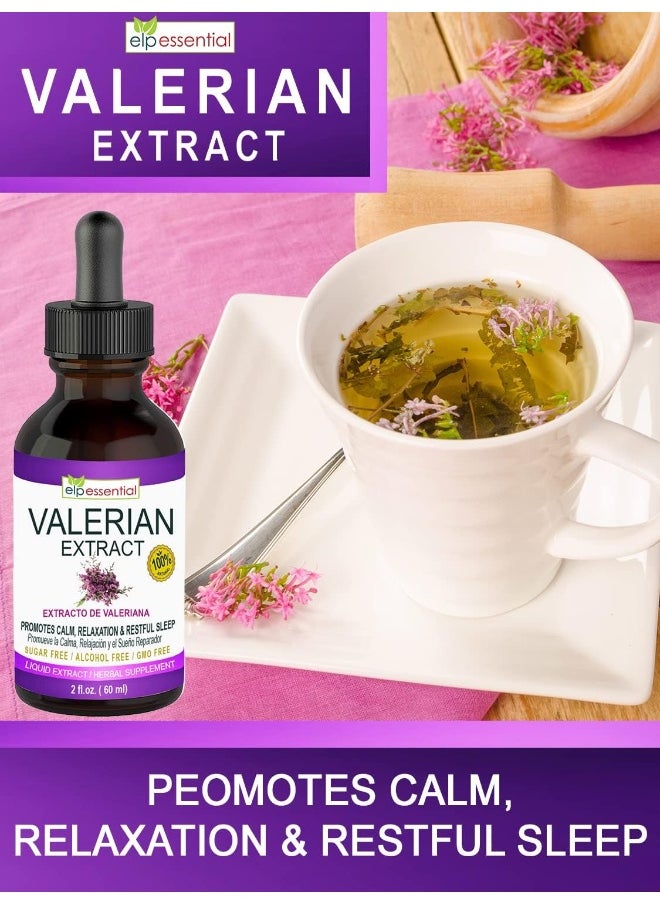 Valerian Root Extract Drops, 2 fl oz, Sugar Free, Alcohol Free, Non-GMO Gluten Free Liquid
