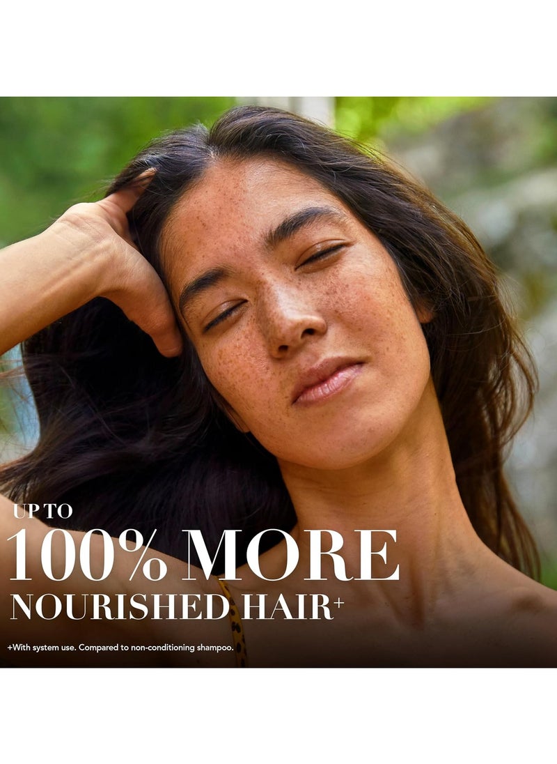 bio:renew Rosemary and Herbs SHAMPOO, 400ml, No Parabens No Colourants