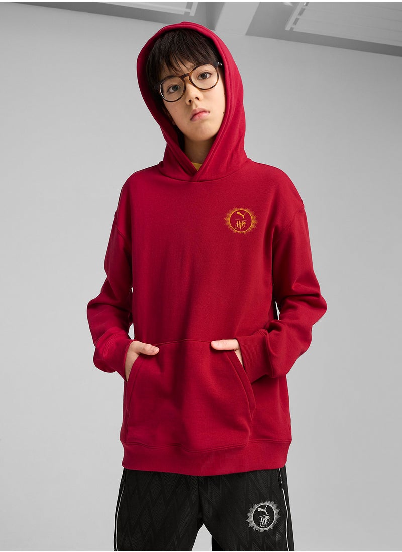 Youth Harry Potter Graphic Hoodie