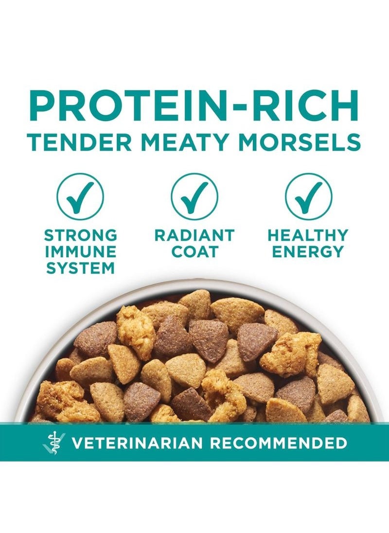 One Plus Digestive Health Formula Dry Dry Dog Food 3.63kg