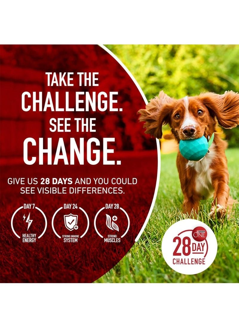 One Plus Digestive Health Formula Dry Dry Dog Food 3.63kg