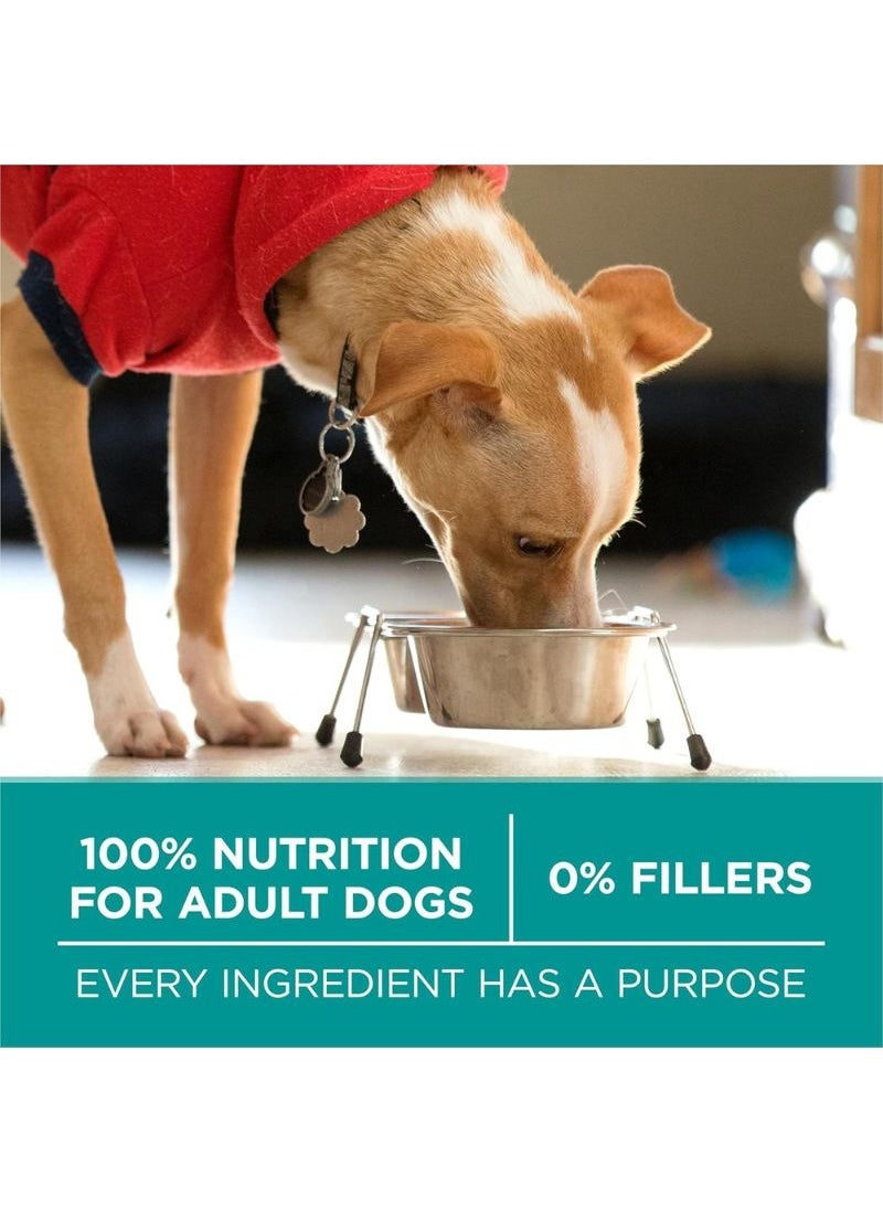 One Plus Digestive Health Formula Dry Dry Dog Food 3.63kg