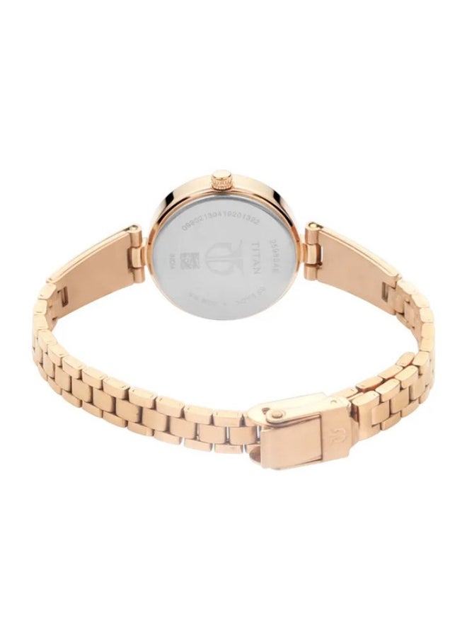 Silver Dial Metal Strap Watch