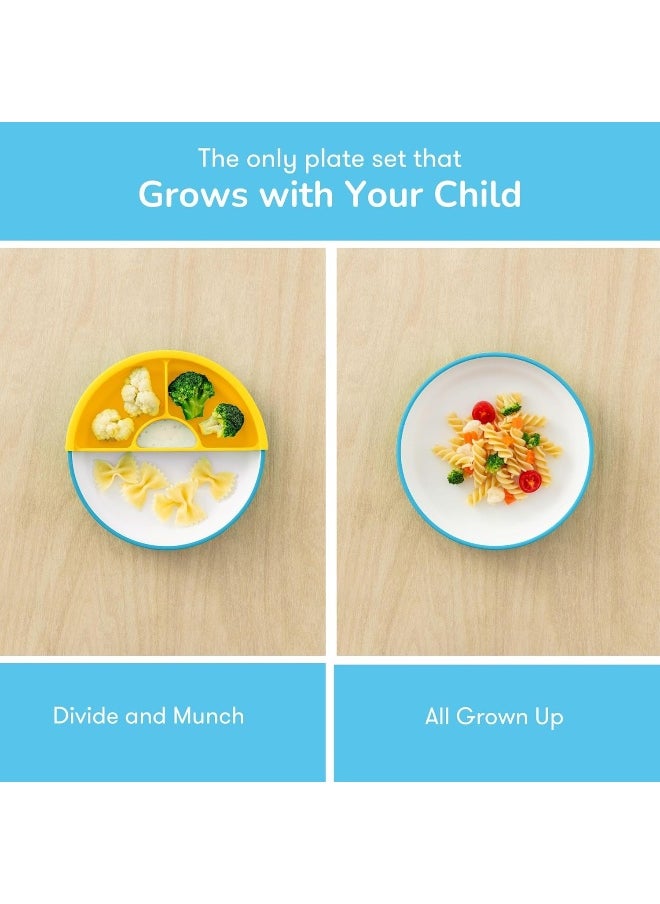 Omie Plate (Blue, 1 Plate 1 Divider)