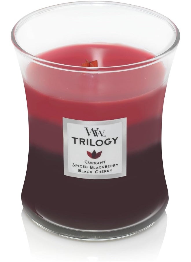 WoodWick Hourglass Scented Trilogy Candle with Pluswick Innovation, Sun-Ripened Berries, Medium